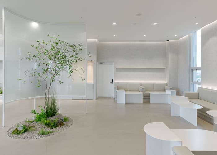 Aura Dental calming treatment room